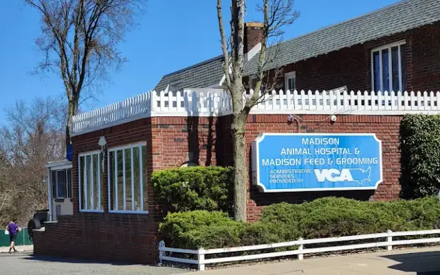 Madison Animal Hospital in Madison, NJ
