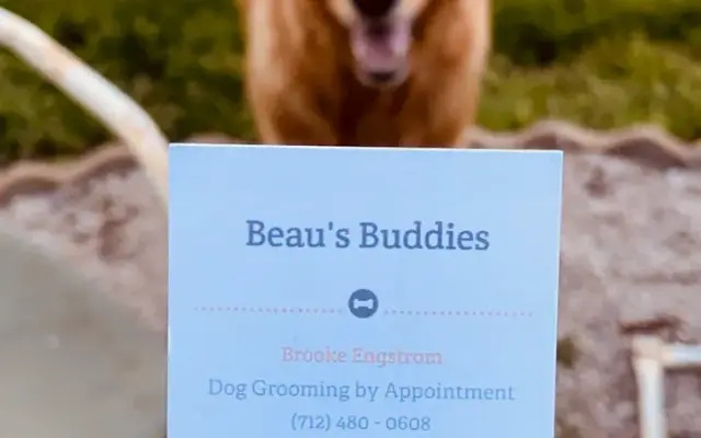 Beau’s Buddies Grooming in Emmetsburg, IA
