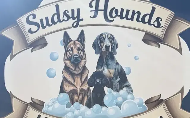 Sudsy Hounds Mobile Grooming Midland Texas in Midland, TX
