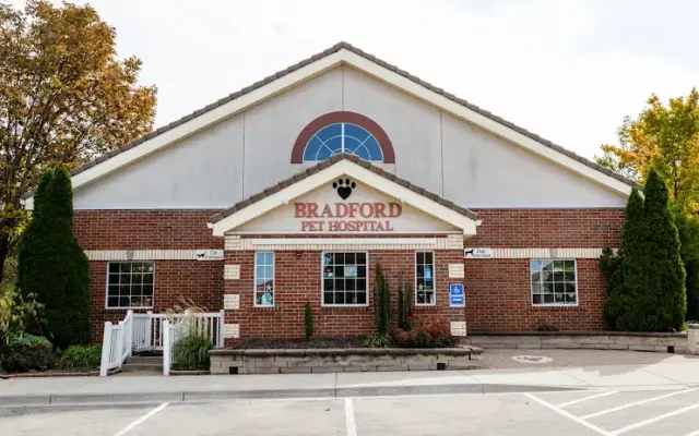 Bradford Pet Hospital in Olathe, KS