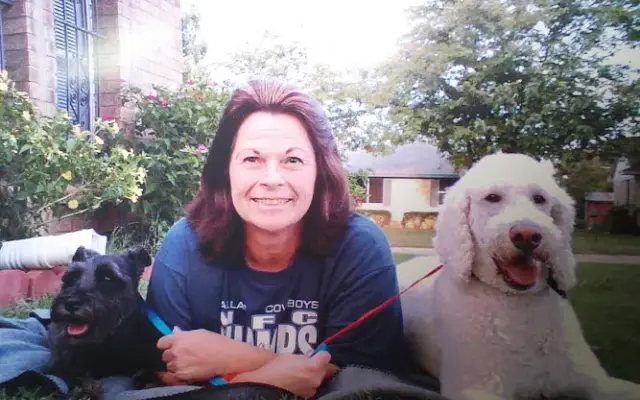 TLC Pet Grooming in Allen, TX