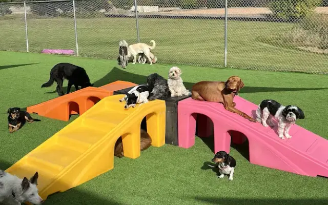 Muddy Paws Play + Stay in Columbus, MN