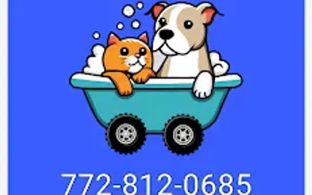 Charlie's furry friends in Port St. Lucie, FL