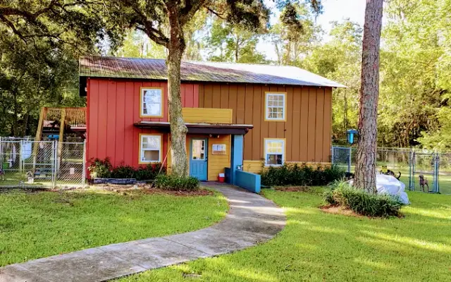 Pet Camp in St. Augustine, FL