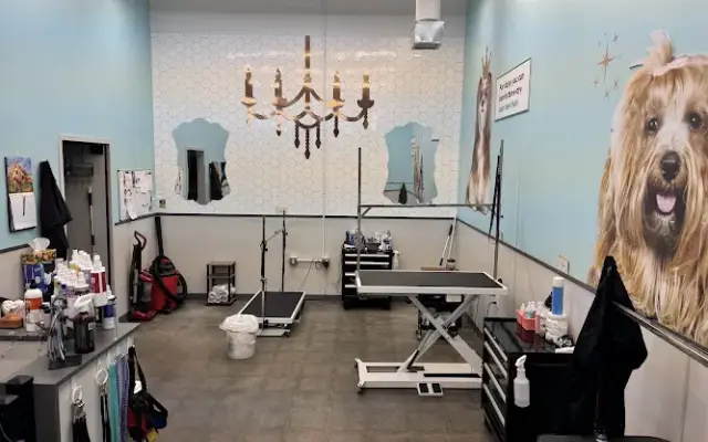 Pet Supplies Plus Fort Dodge in Fort Dodge, IA