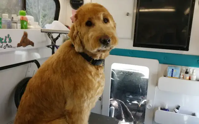 Sheri's Pampered Pets in Pottersville, NJ