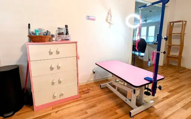 The Dog Nail Studio in Texas City, TX