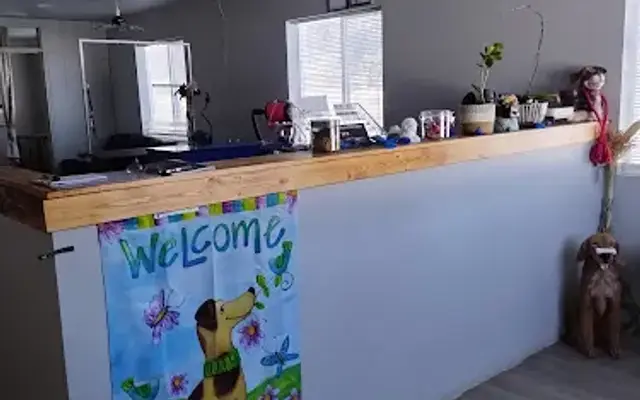 Five star grooming in Deer Park, WA