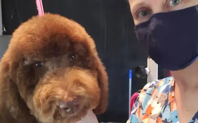Grooming by Londa in Taylors, SC