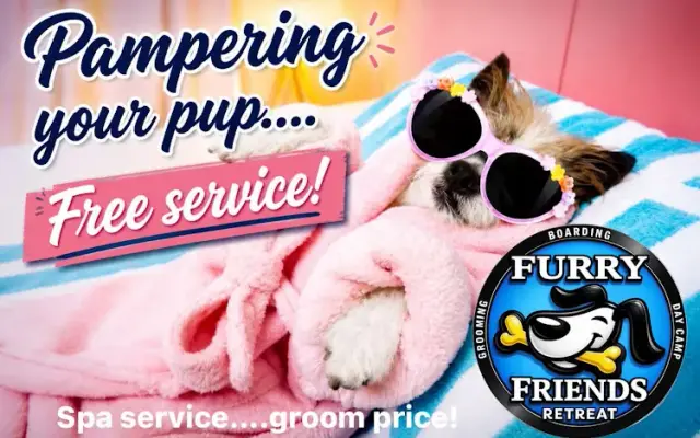 Furry Friends-Jackson Grooming and Boarding in Jackson, TN