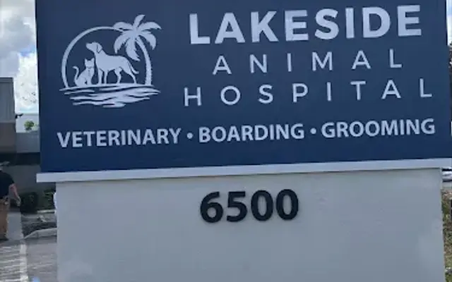 Lakeside Animal Hospital & Veterinarian - Plantation in Plantation, FL
