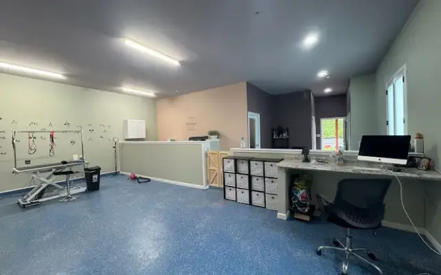 JandB Pet Grooming Near Monroe NJ in Jamesburg, NJ