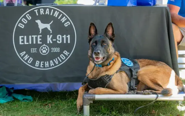 Elite K-911 Dog Training, Grooming & Boarding in North Ridgeville, OH