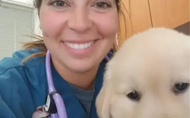Sit Stay VA- Concierge Pet Wellness in Warrenton, VA