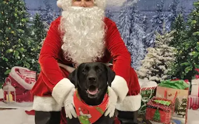 Barks & Bubbles on the Boulevard in Whitesboro, NY