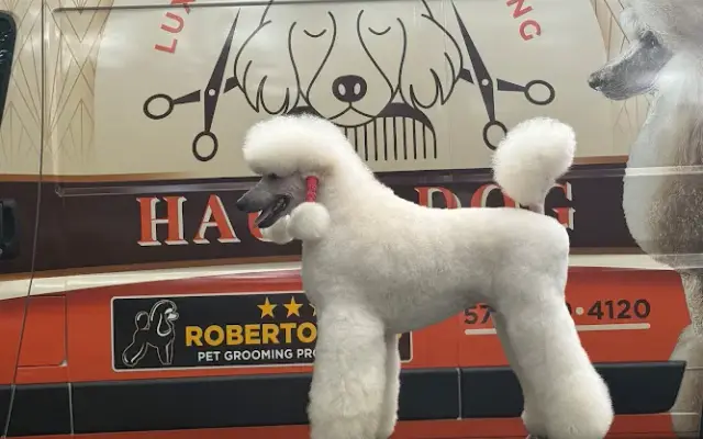Haute Dog Mobile Grooming in Vienna, VA