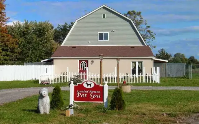 Spoiled Rotten Pet Spa in Sanborn, NY