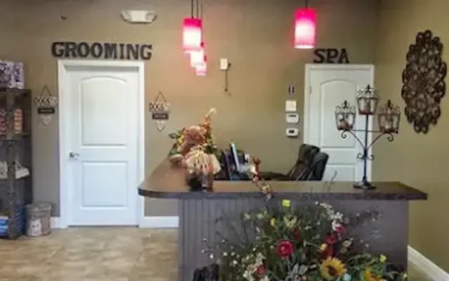 Beverly Hills Divas & Beaus Boutique & Grooming Salon in Bradenton, FL