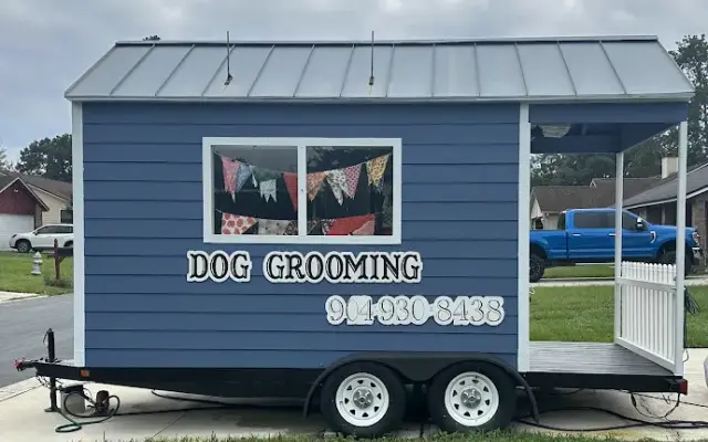 Radiant Paws in Orange Park, FL