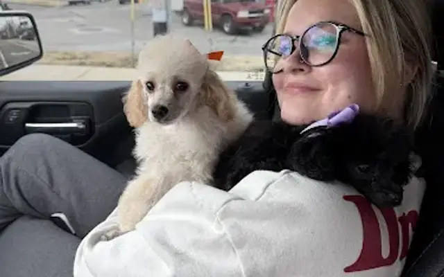 Classic Paws Dog Grooming in Maynardville, TN