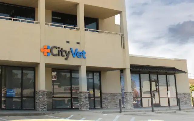 CityVet | Lovers Lane in Dallas, TX