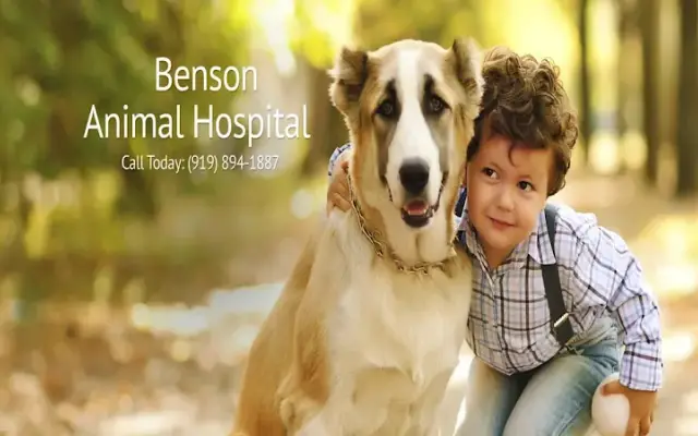 Benson Animal Hospital in Benson, NC