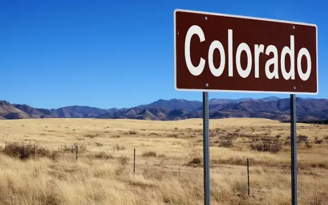 Groovy Pet Care in Parker, CO