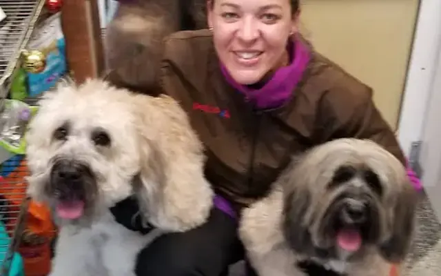 Ms Elaines Mobile Dog Spa LLC in Lake Hiawatha, NJ