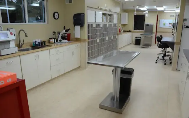 River Heights Veterinary Hospital, A Thrive Pet Healthcare Partner in Oswego, IL