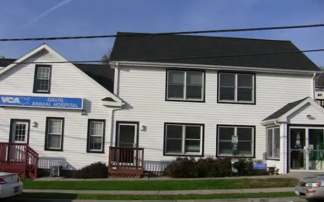 VCA Davis Animal Hospital in Stamford, CT