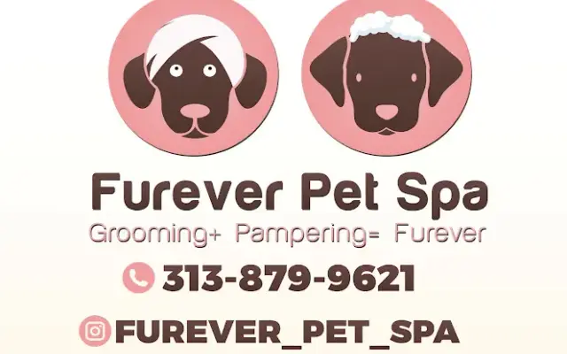 Furever Pet Spa in Inkster, MI