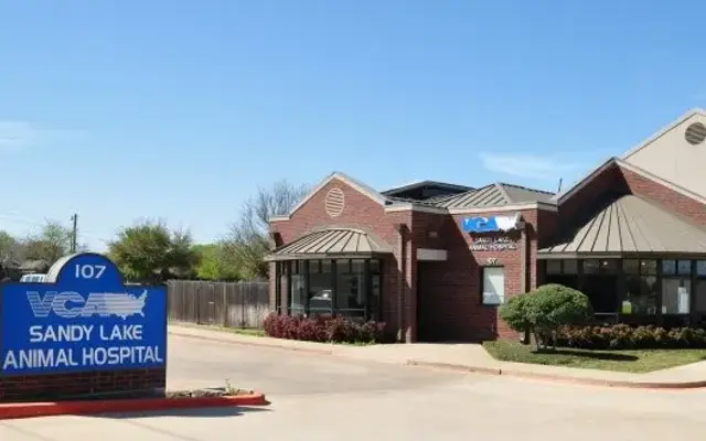 VCA Sandy Lake Animal Hospital in Coppell, TX