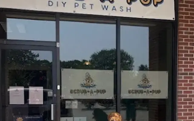 SCRUB-A-PUP LLC in Chelmsford, MA
