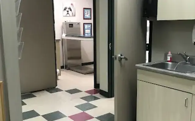 Cordova Station Animal Hospital in Cordova, TN