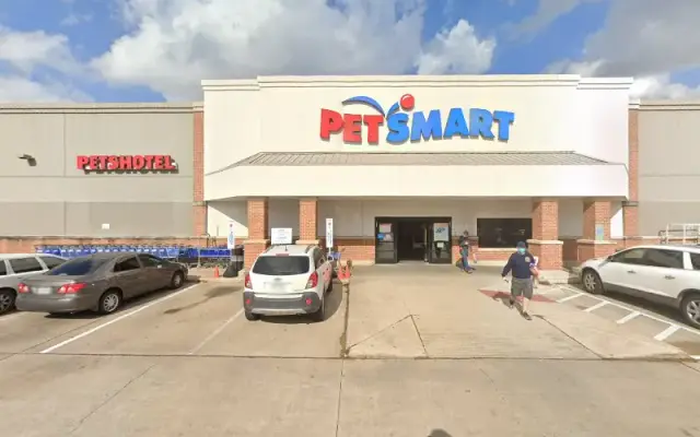 PetSmart Doggie Day Camp in Houston, TX