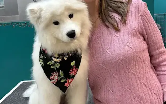 Laura's Doggy Day Spa in Inver Grove Heights, MN