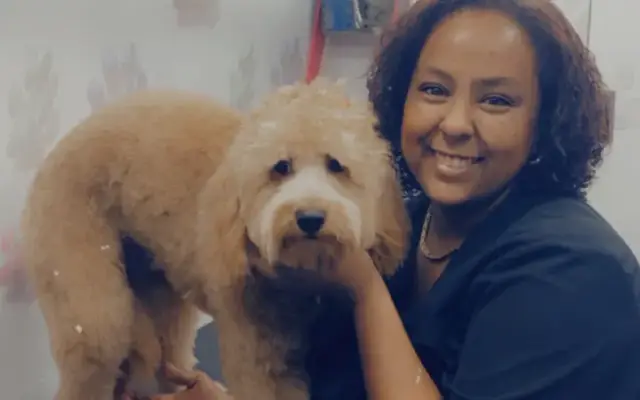 Pet grooming mobile Miami in Miami, FL