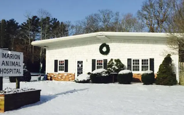 Marion Animal Hospital in Marion, MA