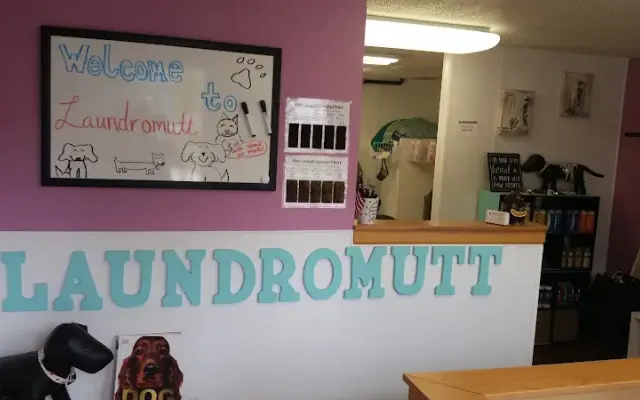 Laundromutt Grooming in Big Lake, MN