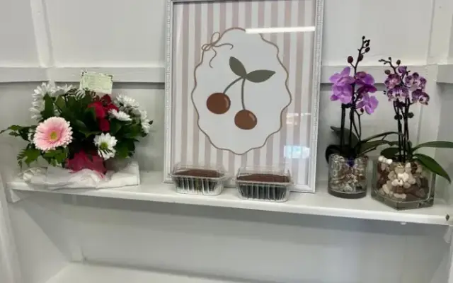 Cherry Nook Grooming in Traverse City, MI