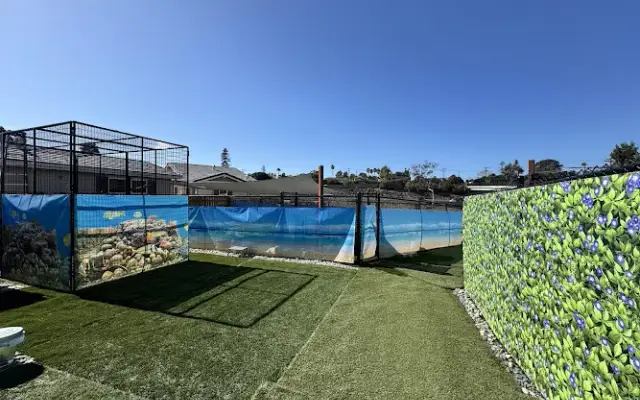 Kamp Kanine Day Care For Dogs in Encinitas, CA