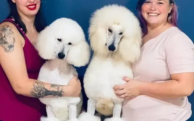 Absolute Pawfection in Tullahoma, TN