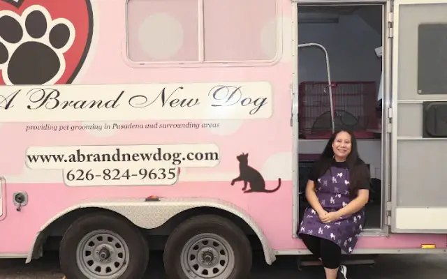 A Brand New Dog in Glendora, CA
