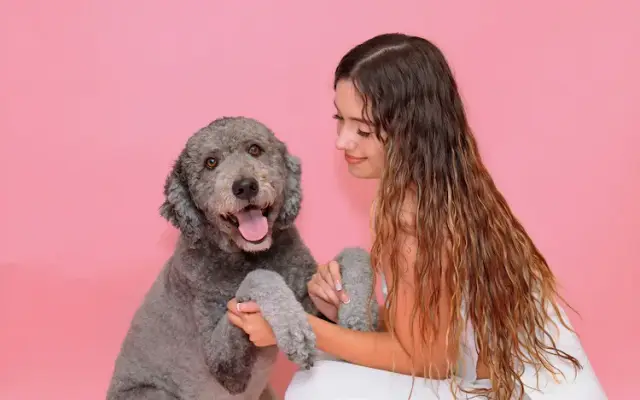 Pawtique pet grooming in Odenton, MD
