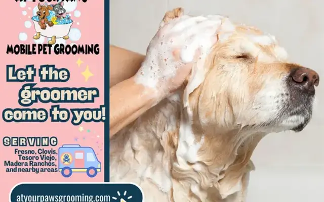At Your Paws Mobile Pet Grooming in Fresno, CA