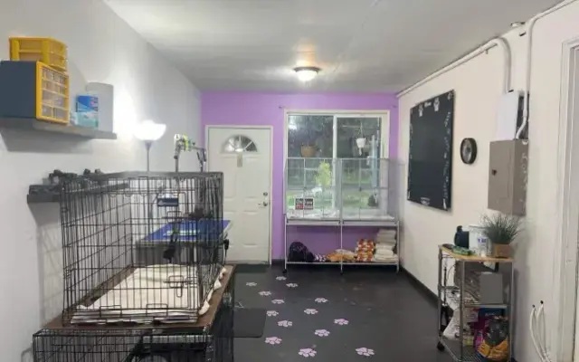 Happy Hounds Grooming in Lacey, WA