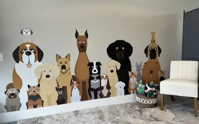 The Barktique in Austin, TX