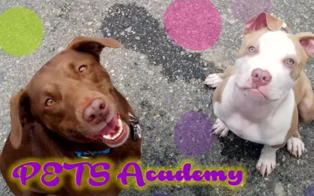 PETS Academy USA in Jamison, PA