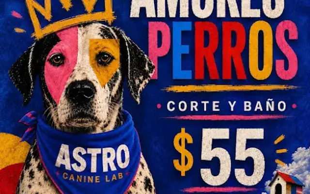 ASTRO Pet Grooming in Houston, TX