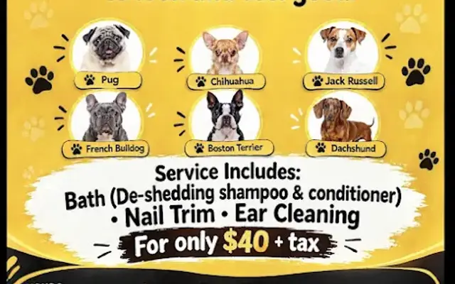 Dog grooming by Elizabeth R. in Duncanville, TX